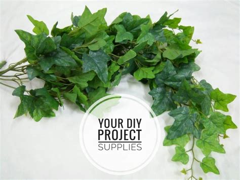 Dalam video kali ini saya akan berkongsi tentang update pokok selepas 29 hari semai benih dalam polybeg. Ivy leaf Garland (SEWA) - Your DIY Project Supplies
