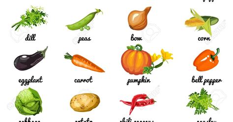 Cute Food Names ~ Collection Of Vector Fruits Stickers Can Be Used For
