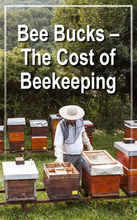 Bee Bucks - The Cost of Beekeeping in 2020 | Bee keeping ...