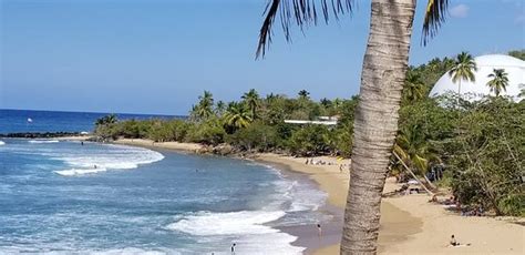 Domes Beach Rincon 2020 All You Need To Know Before You Go With
