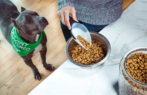 Shop online now from our range of ready made meals and bulk food options. Vegan dog food company continues its international expansion