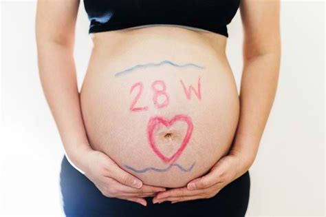 Seputar Perkembangan Janin 28 Minggu Dan Perubahan Tubuh Pada Ibu Hamil