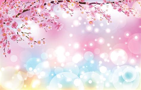 Beautiful Cherry Blossom With Bokeh Lights Background Concept 1971264