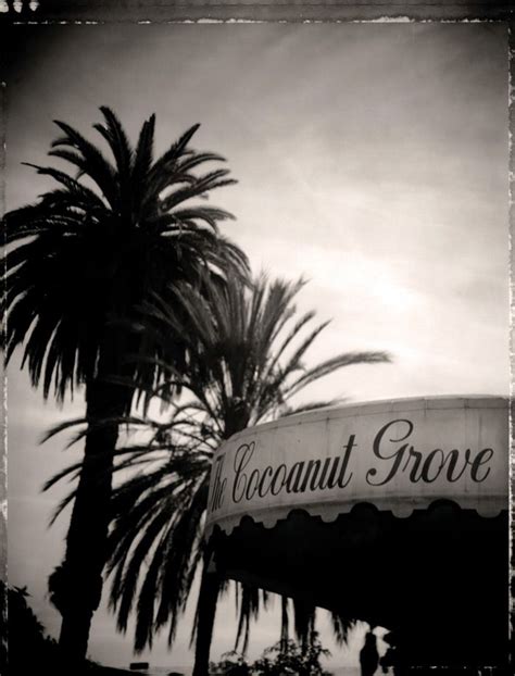 The Famous Coconut Grove Hollywood Ca Coconut Grove Los Angeles