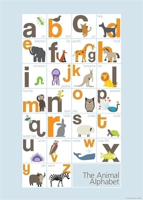 Pin By Keri Kadri On Alphabet Alphabet Print Alphabet Poster Animal