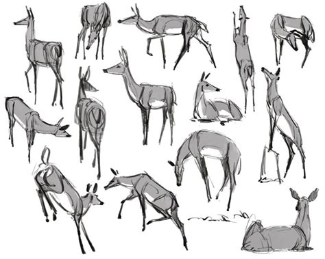 How To Draw Animals 15 Top Tips Creative Bloq