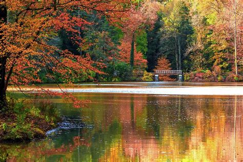 Pond In Autumn Photograph By Carol Montoya Fine Art America