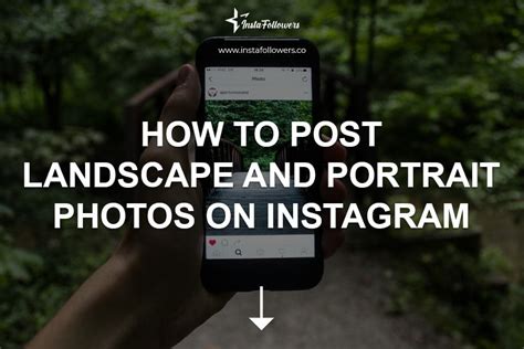 Instagram Portrait Size And Landscape Photos Instafollowers