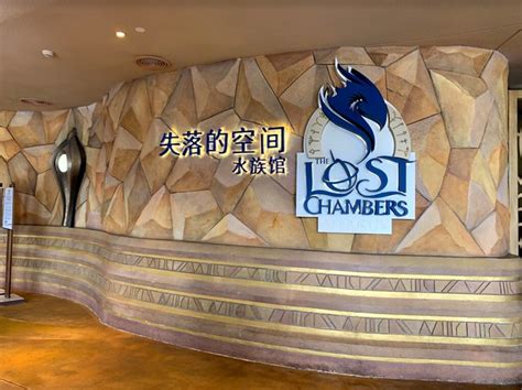 2020 China Cetacean Alliance Investigation Into Sanya Atlantis Hotel