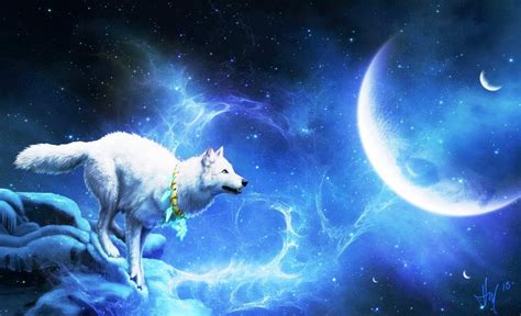 Cool Wolf Backgrounds Blue Santinime