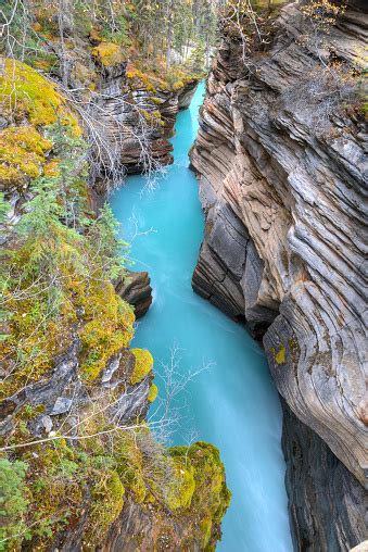 Athabasca Falls Canyon Stock Photo Download Image Now Alberta