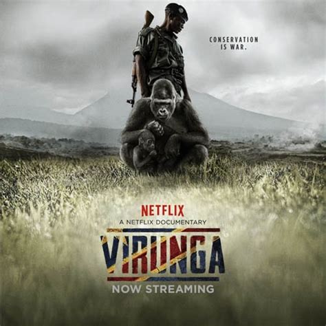 Tubi offers streaming documentary movies and tv you will love. VIRUNGA (2014) - A Netflix Documentary | Horror Cult Films