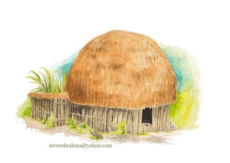 Sketsa Rumah Adat Papua Mewarnai Gambar Rumah Adat Papua Sketsa Rumah
