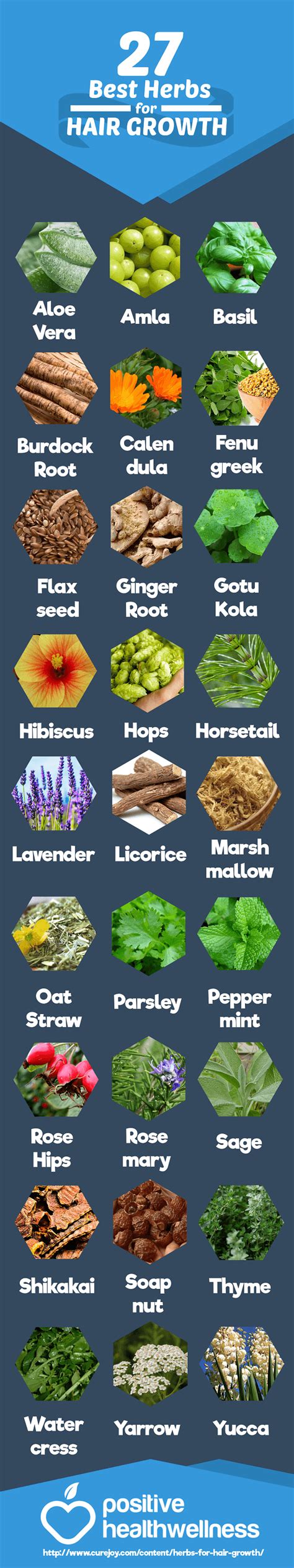 27 Best Herbs For Hair Growth Infographic
