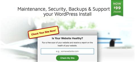 12 Best Wordpress Maintenance Services For Your Site Care Blogvault
