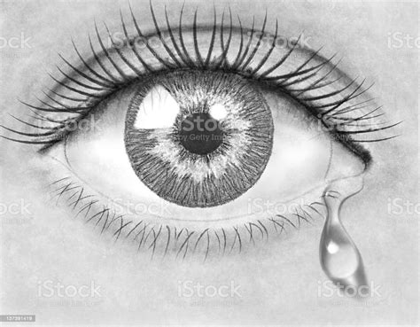 Pencil Drawing Eye Stock Photo And More Pictures Of Adult