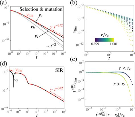 Universal Bounds For The Critical Scaling Exponents At The