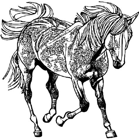 Realistic Horse Coloring Pictures