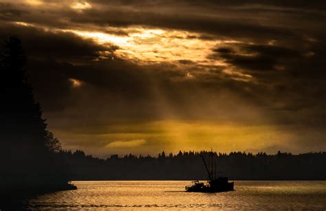 Life on the Salish Sea on Behance