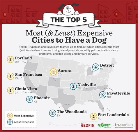 The Top 5 Most And Least Expensive Cities To Have A Dog Dog Friendly