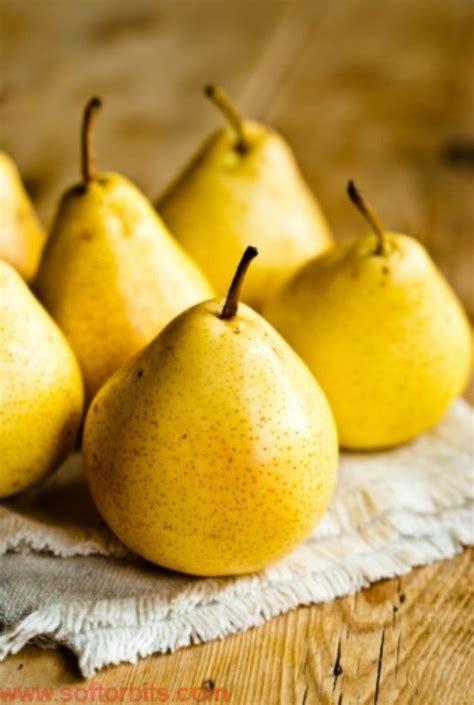 Armut Yellow Aesthetic Fall Pears Fruit And Veg Fruits And Vegetables
