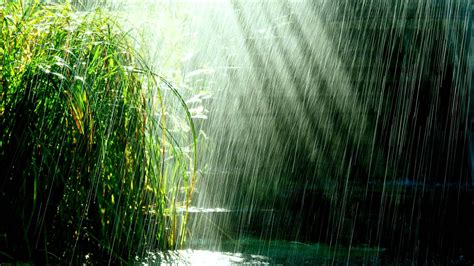 Free Photo Tropical Rain Atmosphere Weather Water Free Download