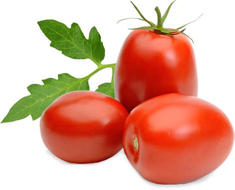 Download Transparent Tomatoes Tomato Roma Pngkit