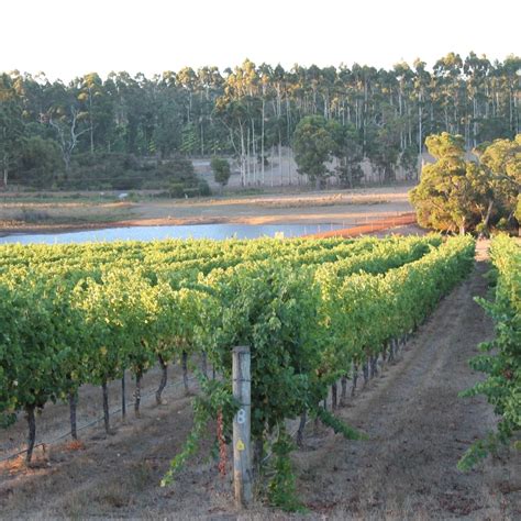 Margaret River Wine Region Western Australias Most Famous Wine