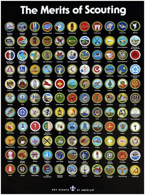 All Boy Scout Merit Badges