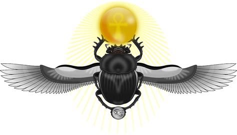 scarab bug wings free vector graphic on pixabay