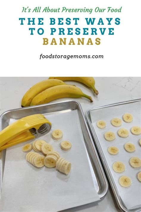 The Best Ways To Preserve Bananas Food Storage Moms