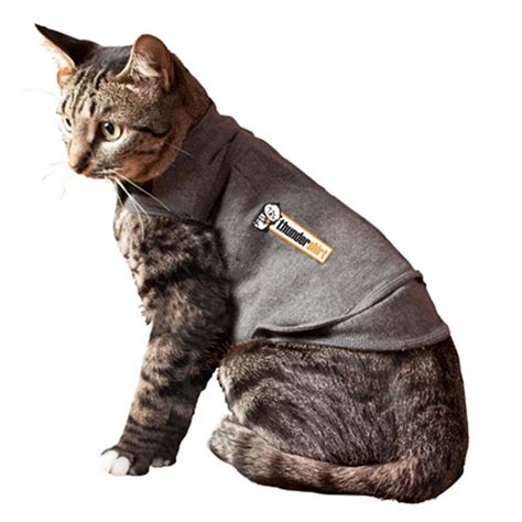 Thundershirt is already helping hundreds of thousands of cats around the world and is recommended by thousands of veterinarians and trainers. Thundershirt for Cats - Gray | BaxterBoo