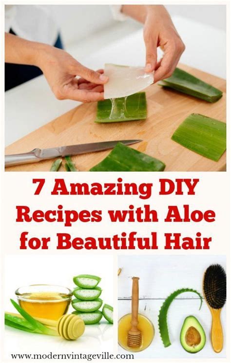 Aloe vera is much more than the cute plant you have that's still alive only because you rarely have to water it, and it's nothing add three tablespoons of olive oil to the food processor. Recipes of DIY hair products with aloe vera. You can also ...