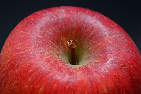 Free Images Apple Flower Petal Food Red Produce Eat Delicious