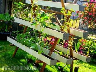 Padahal keinginan berkebun tetap menggebu dan akan tetapi sekarang, mempunyai lahan yang sempit tidak menjadi masalah untuk para peghobi apabila kita tahu cara berkebun di lahan yang sempit. Berkebun Di Lahan Sempit Bisa Dilakukan Degan Beberapa ...