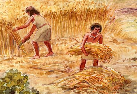 Items De Agricultura Ganadería Y Alimentos Wiki Historia De La Humanidad Amino