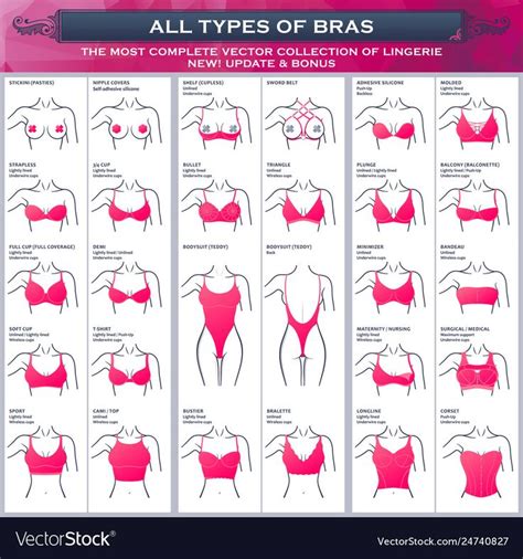 Bras Are The Most Common Types Of Bras And How To Use Them In Different