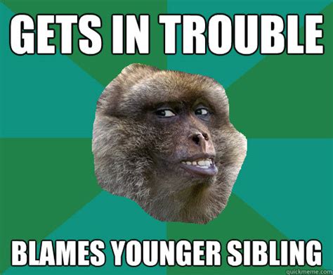 Gets In Trouble Blames Younger Sibling Mischievous Monkey Quickmeme
