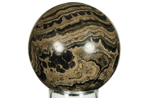 23 Polished Stromatolite Greysonia Sphere Bolivia 227057 For