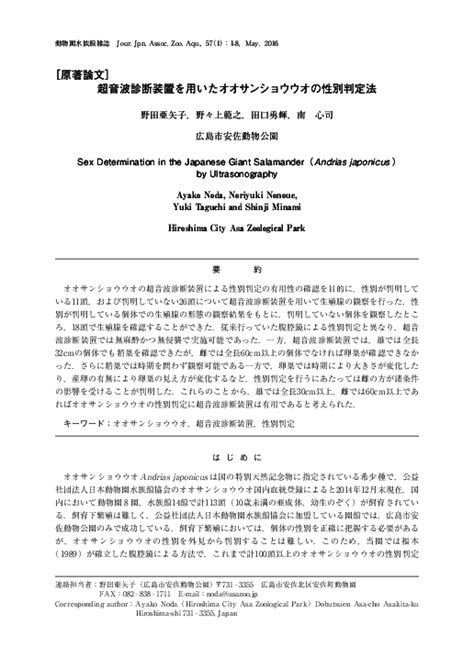 Pdf Sex Determination In The Japanese Giant Salamander（ Andrias