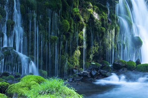 Waterfall Moss Nature River