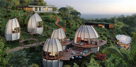 Jungle Hotels