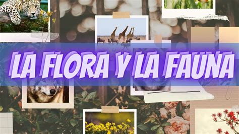 la flora y la fauna 🌼🐯 qué es la flora y qué es la fauna para niÑos de preescolar y primaria👦🏻👧