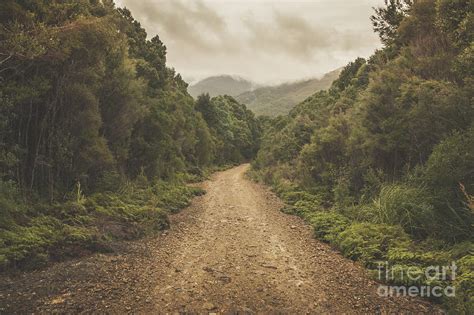 Classic Old Dirt Road Landscape In Australia Photograph By Jorgo