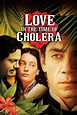 Love in the Time of Cholera (2007) — The Movie Database (TMDB)