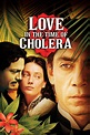 Love in the Time of Cholera (2007) — The Movie Database (TMDB)