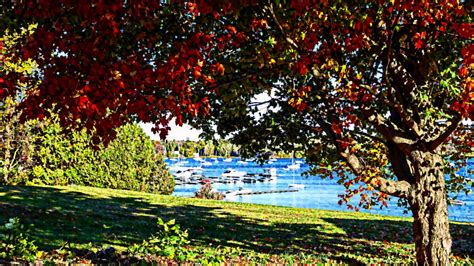 Autumn By The Lake Free Stock Photo Public Domain Pictures