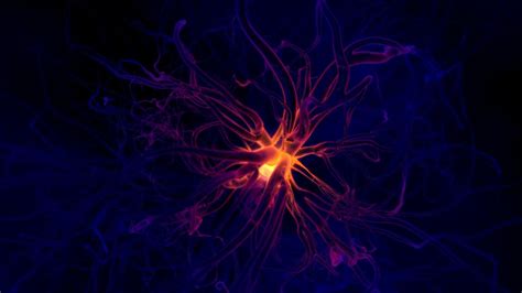 Neurons Wallpapers Top Free Neurons Backgrounds Wallpaperaccess