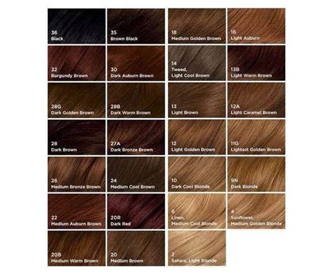 Find The Right Hair Color