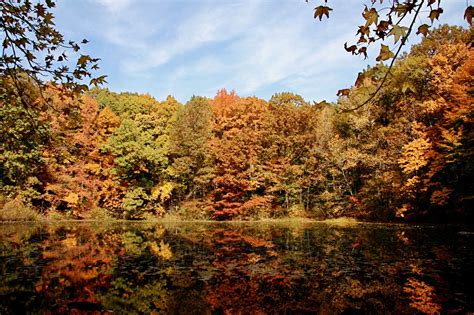 6 Sweet Spots To Check Out Staten Islands Fall Scenery